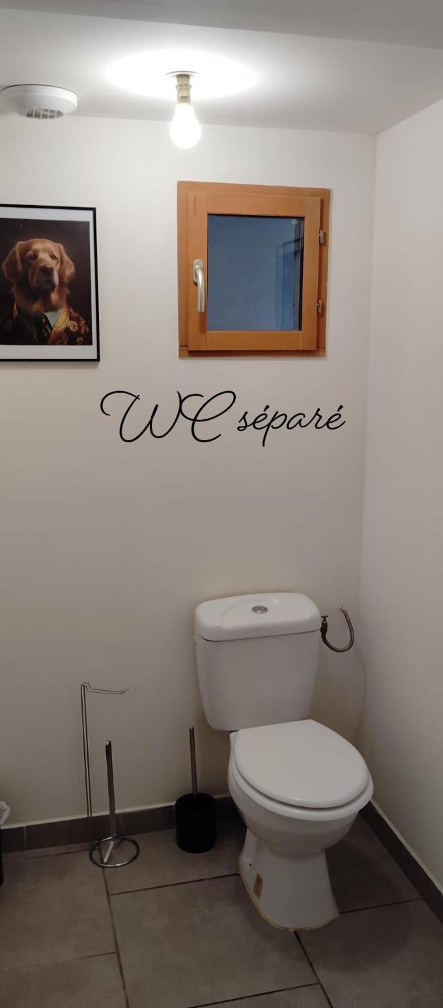Appartement T3 Le Secret De Louis à Saint-Étienne-de-Saint-Geoirs Extérieur photo