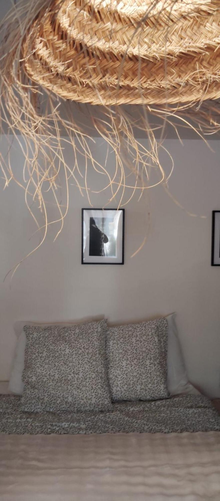 Appartement T3 Le Secret De Louis à Saint-Étienne-de-Saint-Geoirs Extérieur photo