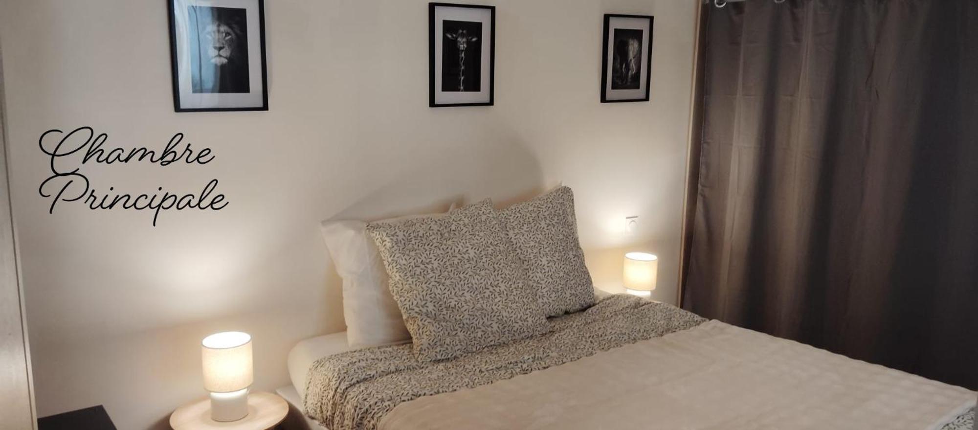 Appartement T3 Le Secret De Louis à Saint-Étienne-de-Saint-Geoirs Extérieur photo